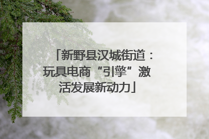 新野县汉城街道：玩具电商“引擎”激活发展新动力