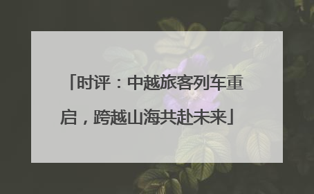 时评：中越旅客列车重启，跨越山海共赴未来