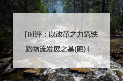 时评：以改革之力筑铁路物流发展之基(图)