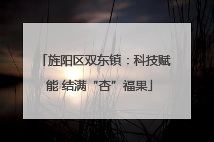 旌阳区双东镇：科技赋能 结满“杏”福果
