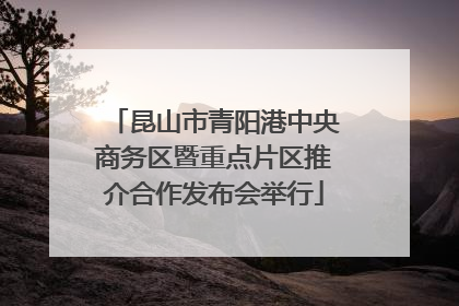 昆山市青阳港中央商务区暨重点片区推介合作发布会举行