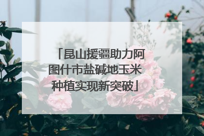 昆山援疆助力阿图什市盐碱地玉米种植实现新突破