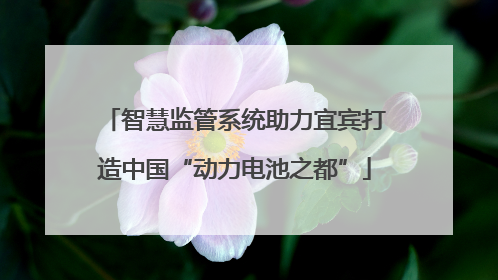 智慧监管系统助力宜宾打造中国“动力电池之都”