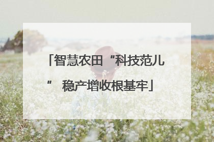 智慧农田“科技范儿” 稳产增收根基牢