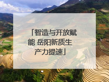 智造与开放赋能 岳阳新质生产力提速