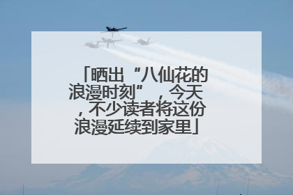 晒出“八仙花的浪漫时刻”，今天，不少读者将这份浪漫延续到家里