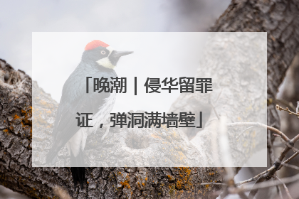 晚潮｜侵华留罪证，弹洞满墙壁