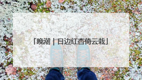 晚潮｜日边红杏倚云栽
