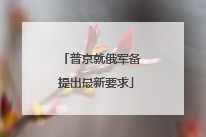 普京就俄军备提出最新要求