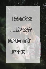 暴雨突袭，武汉公安顶风冒雨守护平安
