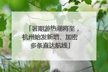暑期游热潮将至，杭州始发新增、加密多条直达航线