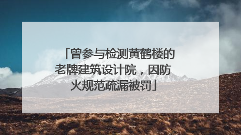 曾参与检测黄鹤楼的老牌建筑设计院，因防火规范疏漏被罚