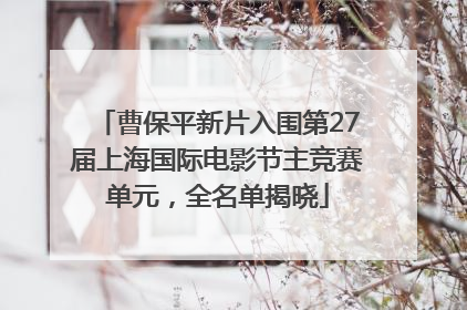 曹保平新片入围第27届上海国际电影节主竞赛单元，全名单揭晓