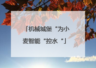 机械城堡“为小麦智能“控水“