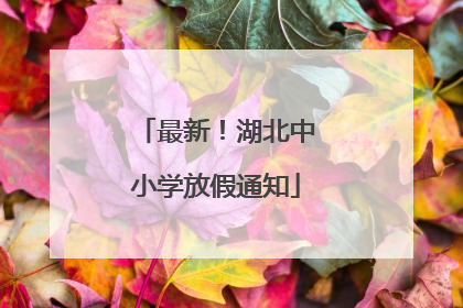 最新！湖北中小学放假通知