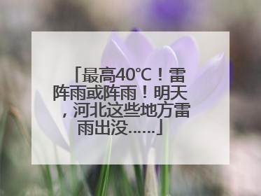 最高40℃！雷阵雨或阵雨！明天，河北这些地方雷雨出没……