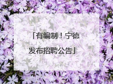 有编制！宁德发布招聘公告