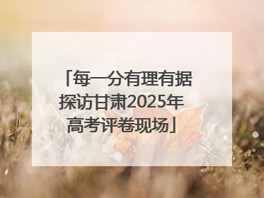 每一分有理有据 探访甘肃2025年高考评卷现场