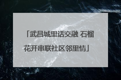 武昌城里话交融 石榴花开串联社区邻里情