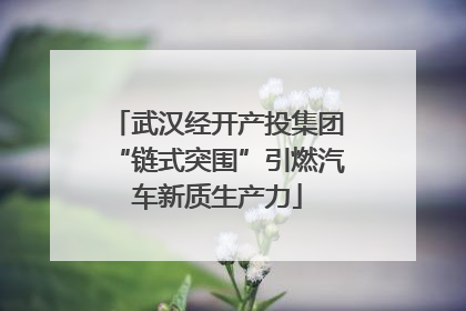 武汉经开产投集团“链式突围”引燃汽车新质生产力