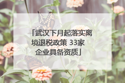 武汉下月起落实离境退税政策 33家企业具备资质