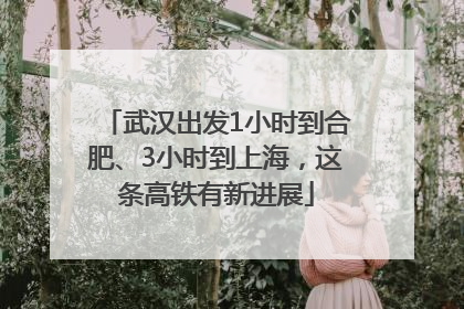 武汉出发1小时到合肥、3小时到上海，这条高铁有新进展