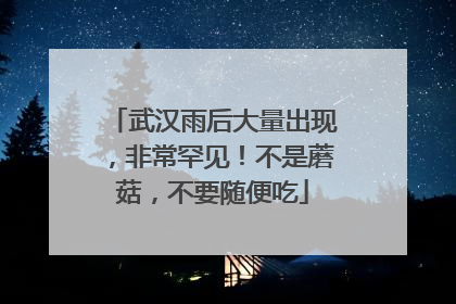 武汉雨后大量出现，非常罕见！不是蘑菇，不要随便吃