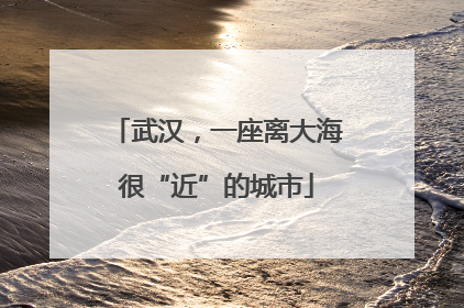 武汉，一座离大海很“近”的城市
