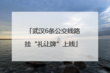 武汉6条公交线路挂“礼让牌”上线