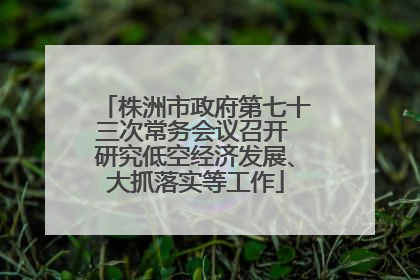 株洲市政府第七十三次常务会议召开 研究低空经济发展、大抓落实等工作