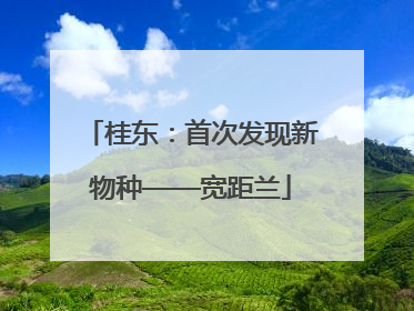 桂东：首次发现新物种——宽距兰