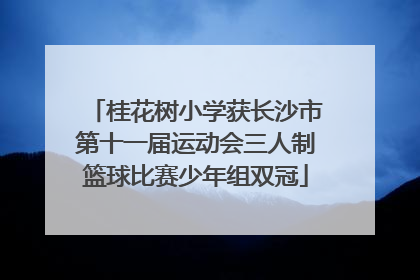 桂花树小学获长沙市第十一届运动会三人制篮球比赛少年组双冠