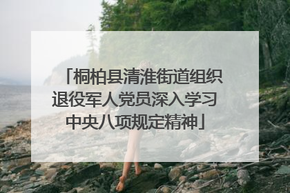 桐柏县清淮街道组织退役军人党员深入学习中央八项规定精神