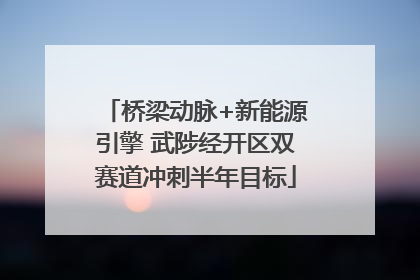 桥梁动脉+新能源引擎 武陟经开区双赛道冲刺半年目标
