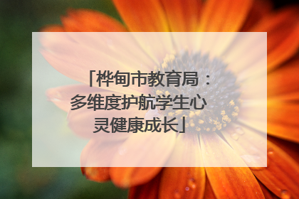 桦甸市教育局：多维度护航学生心灵健康成长