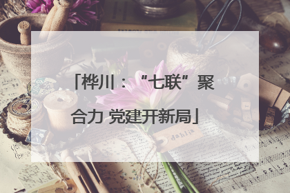 桦川：“七联”聚合力 党建开新局