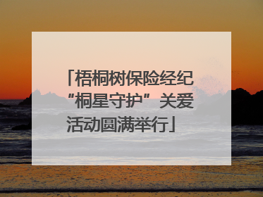 梧桐树保险经纪“桐星守护”关爱活动圆满举行