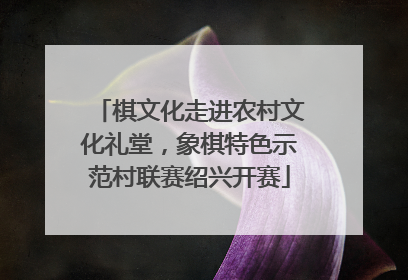 棋文化走进农村文化礼堂，象棋特色示范村联赛绍兴开赛