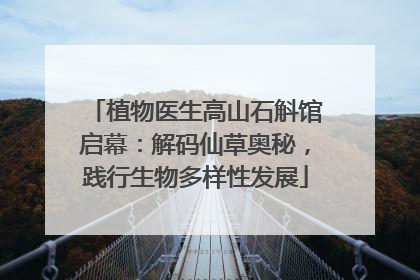 植物医生高山石斛馆启幕：解码仙草奥秘，践行生物多样性发展