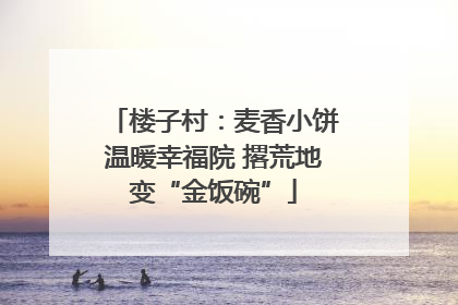 楼子村：麦香小饼温暖幸福院 撂荒地变“金饭碗”