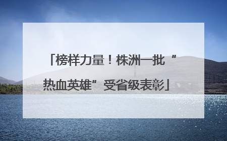 榜样力量！株洲一批“热血英雄”受省级表彰