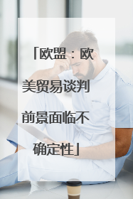 欧盟：欧美贸易谈判前景面临不确定性