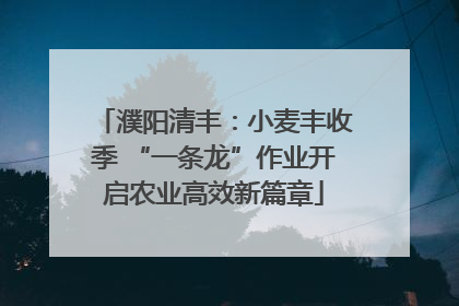 濮阳清丰：小麦丰收季 “一条龙”作业开启农业高效新篇章