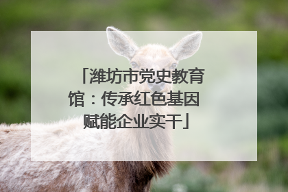 潍坊市党史教育馆：传承红色基因 赋能企业实干