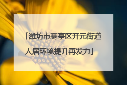 潍坊市寒亭区开元街道人居环境提升再发力