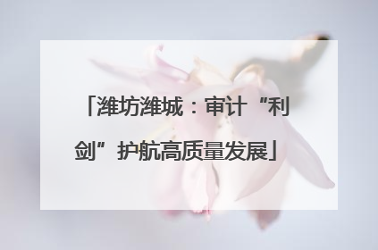 潍坊潍城：审计“利剑”护航高质量发展