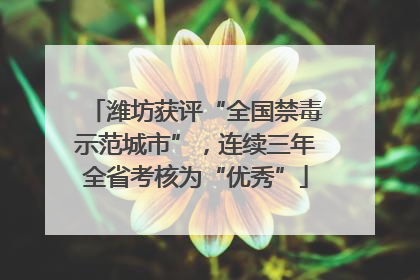 潍坊获评“全国禁毒示范城市”，连续三年全省考核为“优秀”