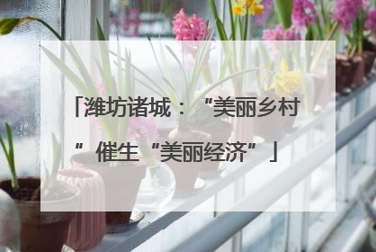 潍坊诸城：“美丽乡村”催生“美丽经济”