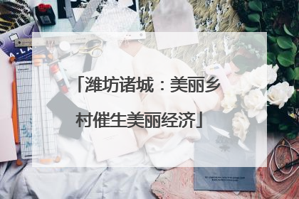 潍坊诸城：美丽乡村催生美丽经济