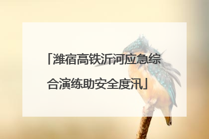 潍宿高铁沂河应急综合演练助安全度汛